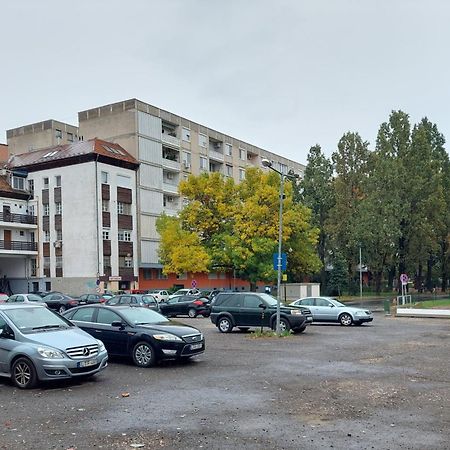 Central Gallery Apartment Debrecen Exterior foto